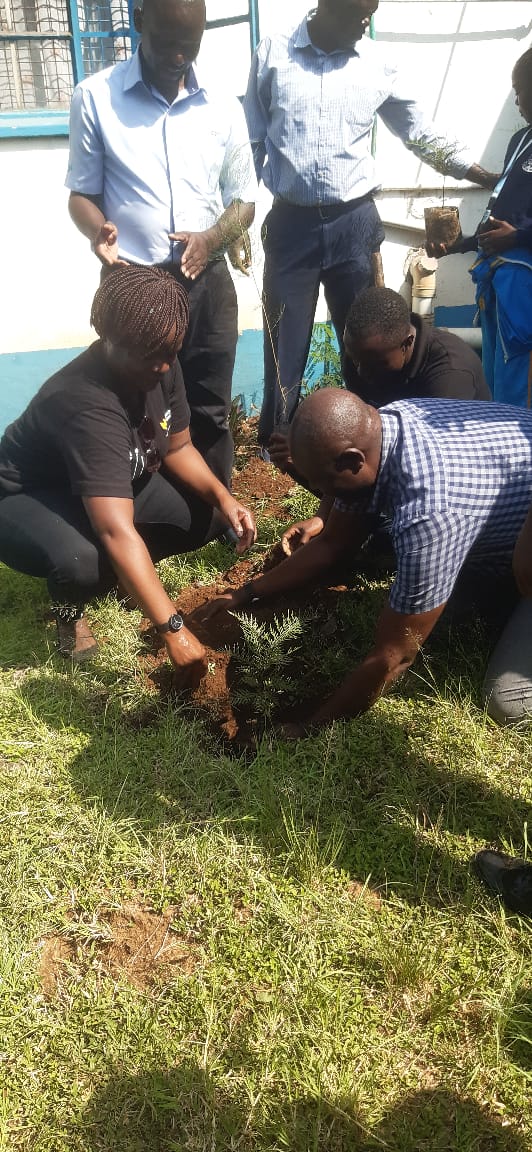 Collaborative tree planting by staff and students
