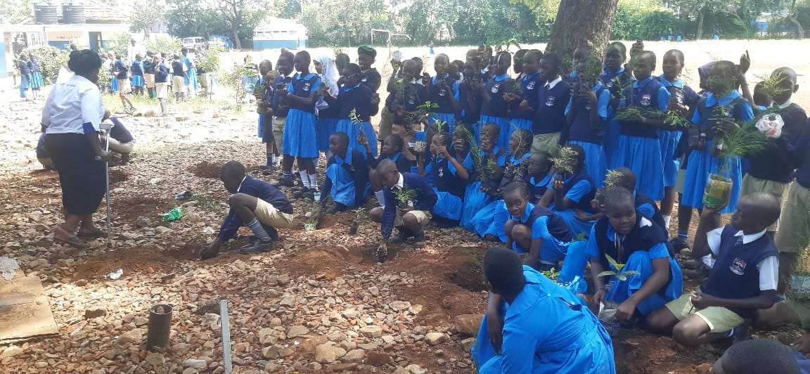 Large group of students participating in an environmental project