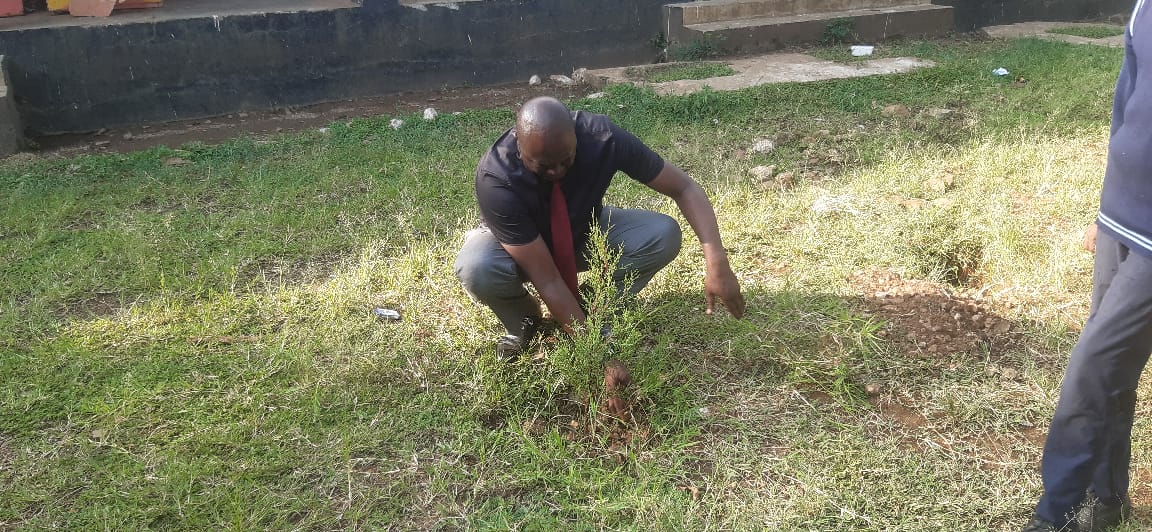 Headteacher Michael Willice Okoth Oriedi participating in tree planting