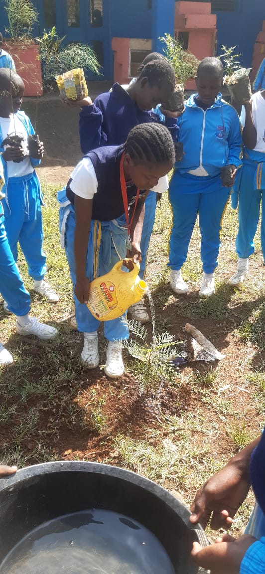 Student watering a plant in the school garden