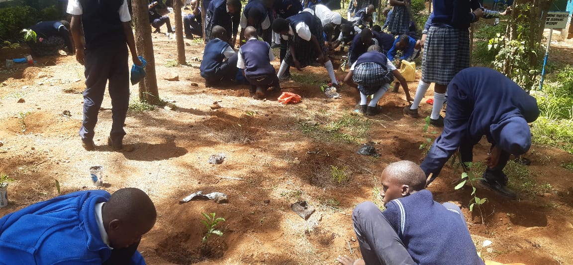 Students actively engaged in environmental conservation activities