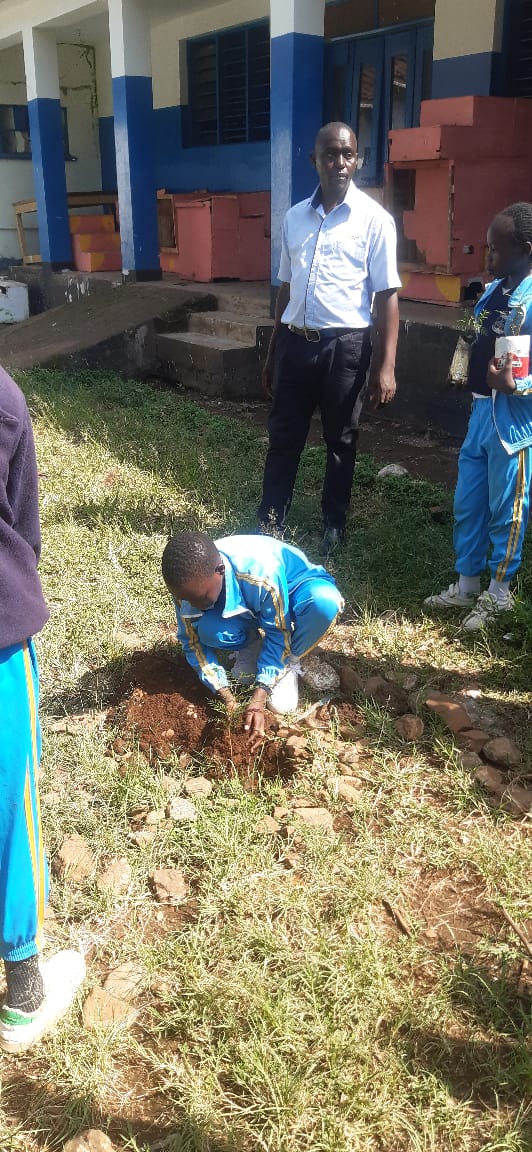 Teacher supervising students during planting activities